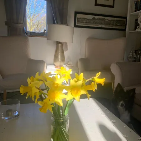 Breeze Feriehus *