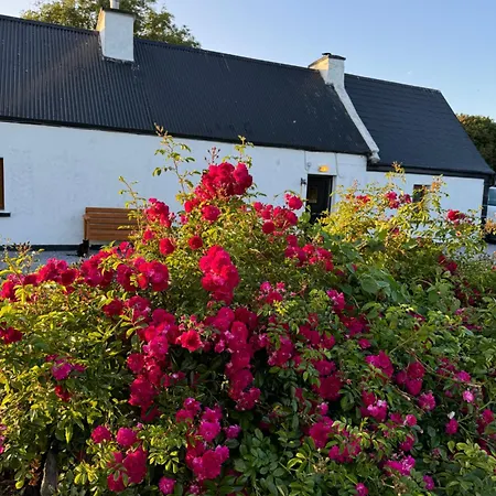Feriehus Breeze Kilcooly