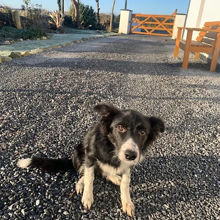 Breeze Σπίτι διακοπών Kilcooly