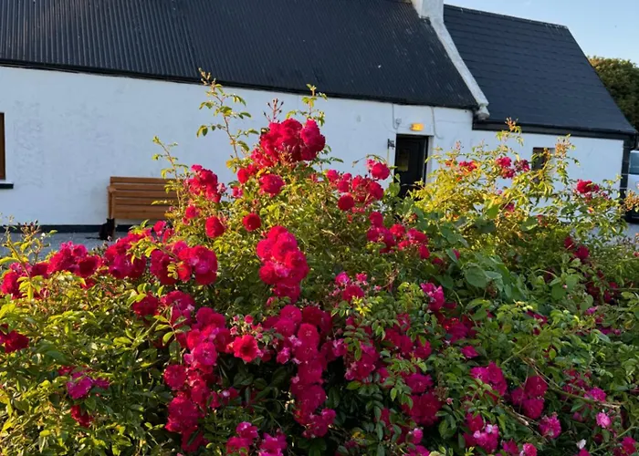 別荘 Breeze Kilcooly