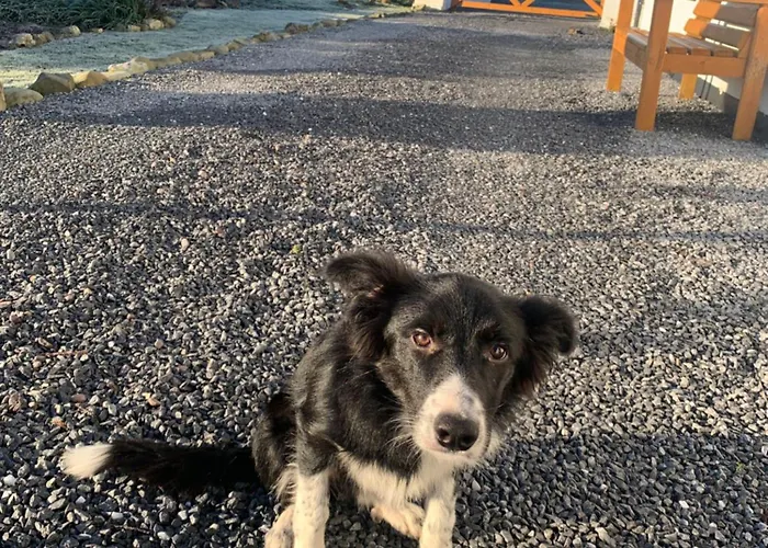 Breeze 別荘 Kilcooly